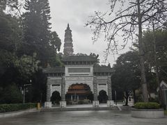 -顺峰山公园