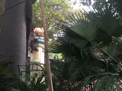 -南宁南湖公园