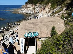-养马岛旅游度假区
