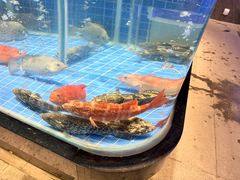 -青蓬蒸汽海鲜·深圳老字号·团建聚会(壹方城店)