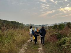 -安德鲁户外烧烤帐篷营地(马泉营店)