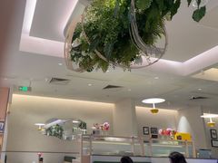 -Aqua Oasis 水天堂(太湖中心mall店)