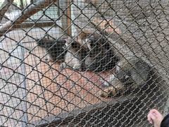 -西安秦岭野生动物园