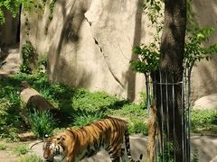 -北京海洋馆
