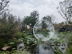 -东平国家森林公园