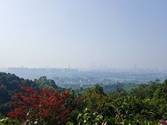 -火炉山森林公园