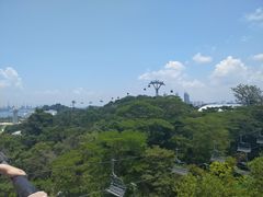 -圣淘沙天际线斜坡滑车