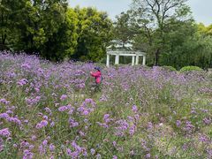 -广东花都香草世界旅游度假区