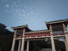 -王借岗森林公园