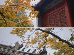 -八大处公园