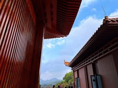 -深圳仙湖植物园