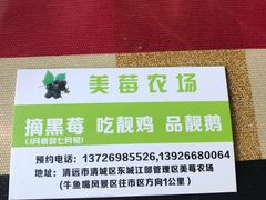 -美莓农场