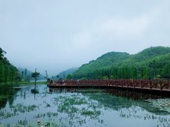 -广州市石门国家森林公园