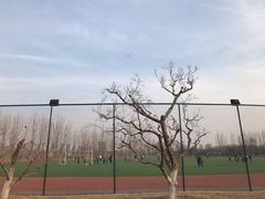 -五环公园