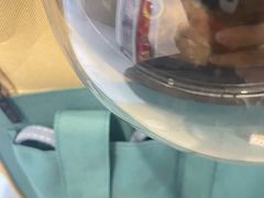 -宠物星动物医院·眼科·异宠·猫科(江南大道总院)