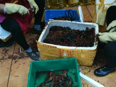 门口清洁小龙虾-熊记虾王·小龙虾(东晓南店)
