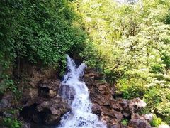 -瓦屋山景区