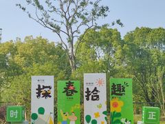 -昆山城市生态森林公园