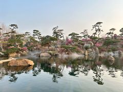 -罗红摄影艺术馆