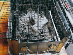 -杨婆婆烤肉(文昌阁店)