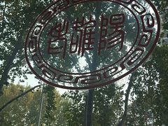 -老雒阳面馆·水席(定鼎门店)