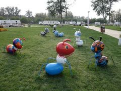 -天津武清北运河郊野公园房车露营地