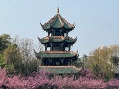 -望江楼公园