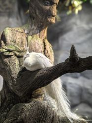 -Zoolung Zoolung动物主题公园(海信广场店)