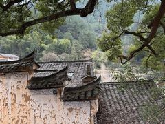 -杨家堂村