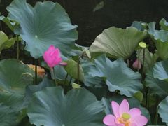 -忠山公园
