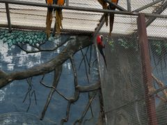 -泉州海丝野生动物世界