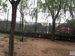 -回龙观体育文化公园