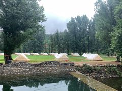 -紫海香堤香草艺术庄园