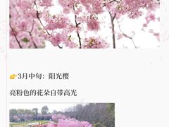 -凤凰沟景区
