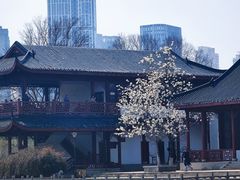 -堤角公园