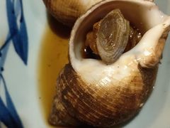 冰镇酱渍海螺-德川家日本料理(龙德广场店)