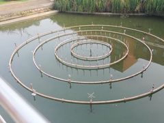 -南京特殊教育师范学院(燕子矶校区)