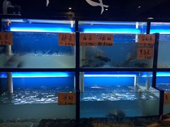 水产区-阿姐小菜(三林店)