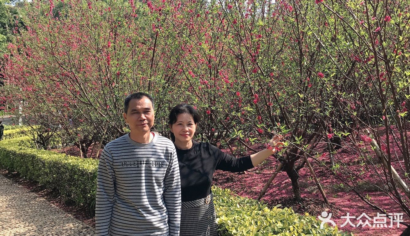 年初二与父母游西樵山
