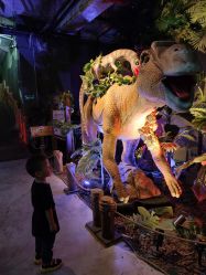 -恐龙探索乐园(磁器口店)