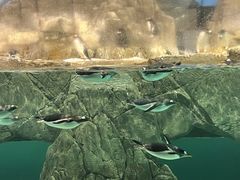 -成都浩海立方海洋公园