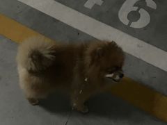 -中粮·祥云小镇