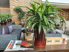 -天津海河悦榕庄·Lobby Lounge大堂吧