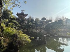 -华雅花园大酒店