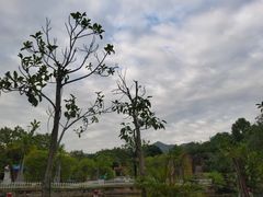 -汕头莲花山度假村温泉
