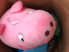 -星健源健身工作室