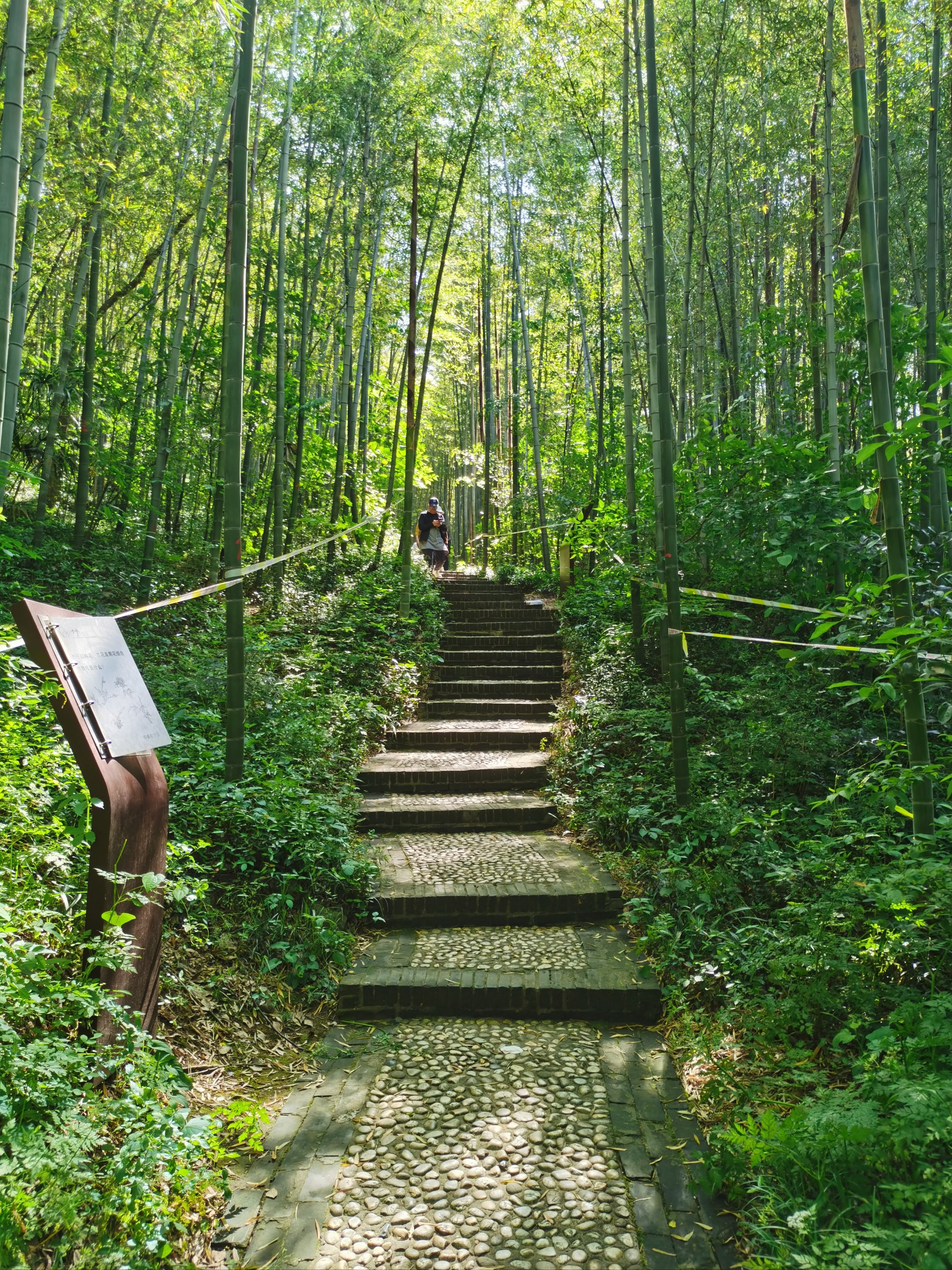 镇江南山风景区景点图片