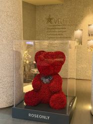 -VELEE·SPA高定疗愈会所