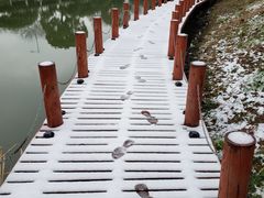 -苏州香山国际大酒店