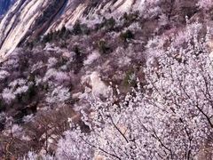 -北京凤凰岭